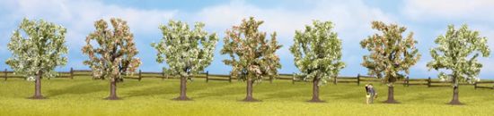 Picture of Fruit Trees