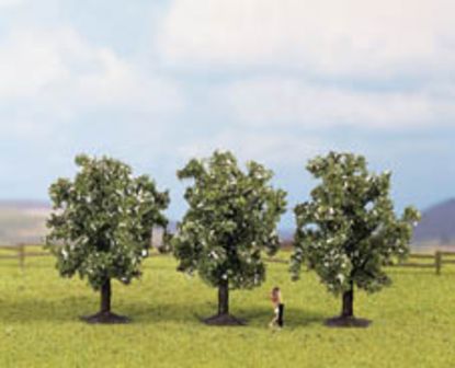 Picture of Fruit Trees