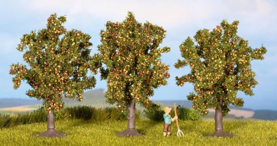 Picture of Apple Trees