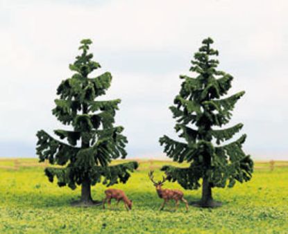 Picture of Nordic Fir Trees