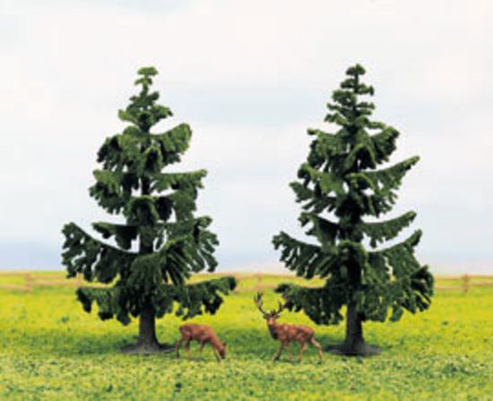 Picture of Nordic Fir Trees
