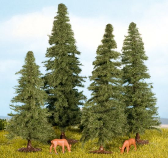 Picture of Fir Trees