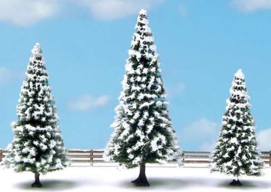 Picture of Snowy Fir Trees
