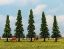 Picture of Model Pine Trees