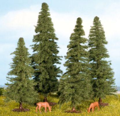 Picture of Fir Trees