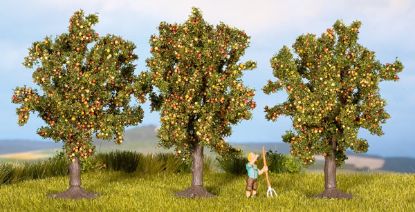 Picture of Apple Trees