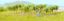 Picture of Vines