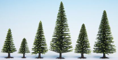 Picture of Model Spruce Trees