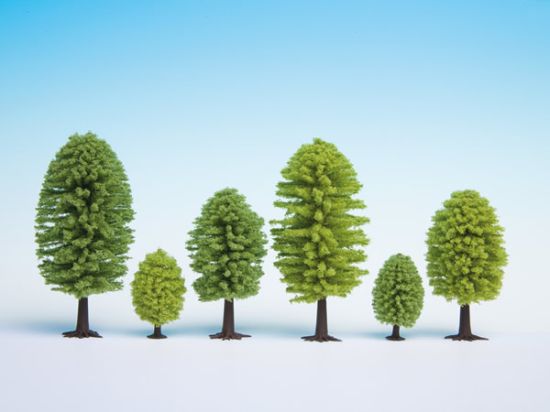 Picture of Deciduous Trees, 5 pieces, 5 - 9 cm high