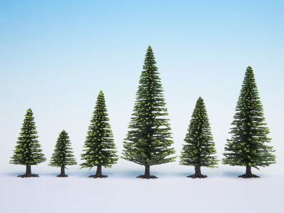 Picture of Model Spruce Trees