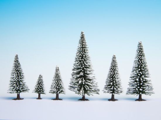 Picture of Snowy Fir Trees