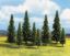 Picture of Model Spruce Trees, 10 pcs., 4 - 10 cm high