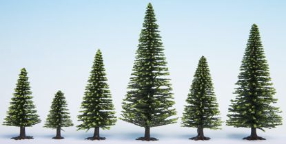 Picture of Model Spruce Trees