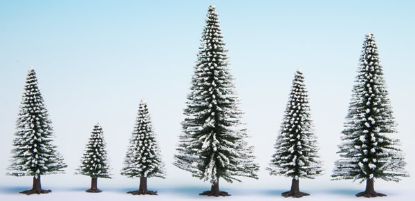 Picture of Snowy  Fir Trees