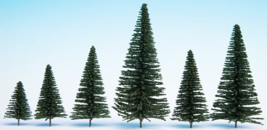 Picture of Fir Trees with Planting Pin