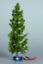 Picture of Micro Motion Falling Nordic Fir