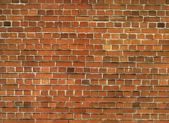 Picture of Carton Wall Red Brick