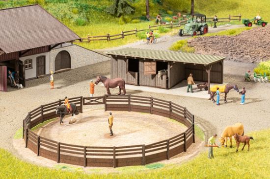 Picture of Riding Arena w. Horseboxes