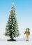 Picture of Snowy Fir Tree