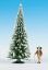 Picture of Snowy Fir Tree