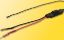 Picture of HO, TT, N Flash simulator of pantographs