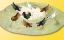 Picture of HO Flock of chickens 