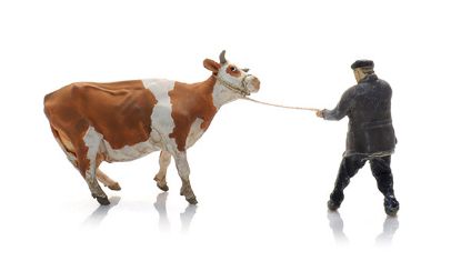 Picture of Farmer with obstinate cow (1x)