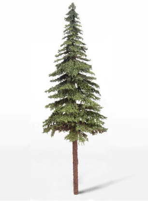 Picture of Fir 31cm