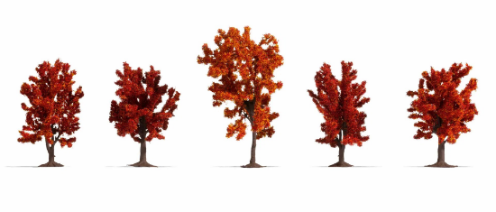 Picture of Autumn Trees