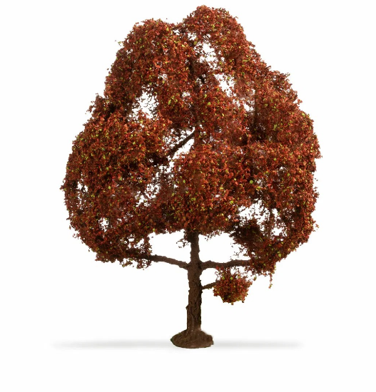 Picture of Copper Beech