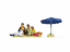 Picture of Family Having a Picnic