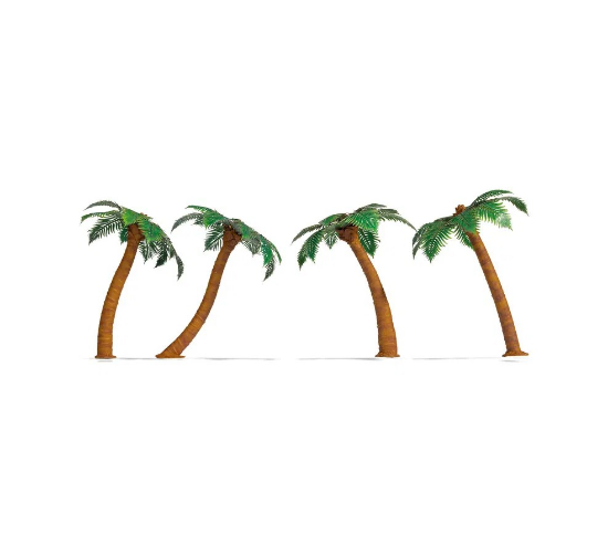 Picture of Palm Trees