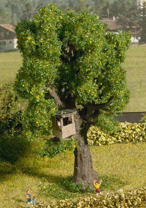 Picture of Tree with Tree House