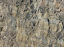 Picture of Wrinkle Rocks XL “Großvenediger”
