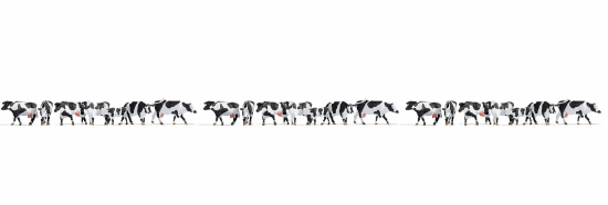 Picture of XL Set “Black & White Cows”