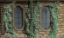 Picture of Plants: Ivy