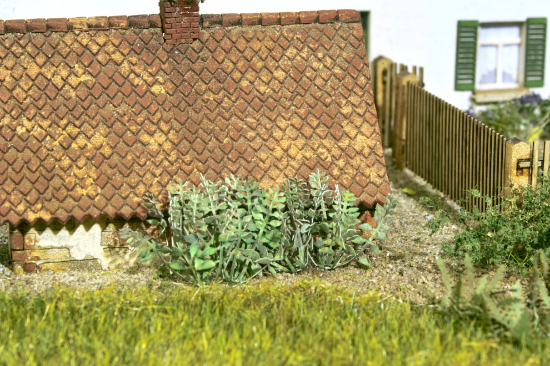 Picture of Stinging Nettle 4x8 Stems