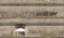 Picture of Natural Stone Masonry 1B