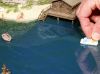 Picture of 2K Water Gel color
