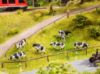Picture of Cow Pasture