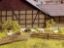Picture of Field Fence