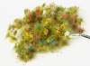 Picture of Flowers 