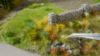 Picture of Flowers