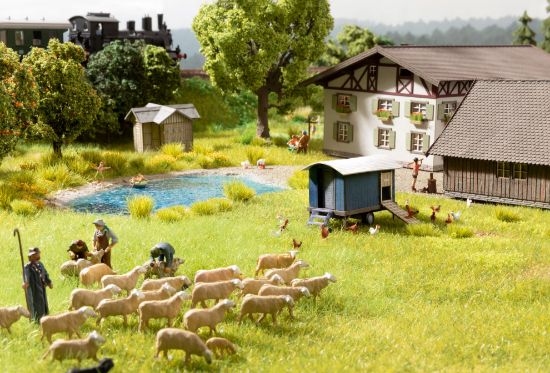 Picture of Flock of Sheep w. Sound