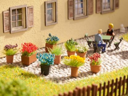 Picture of Flowers in Pots