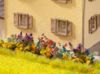 Picture of Flower Garden