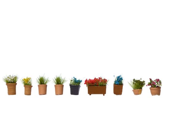 Picture of Flowers in Pots