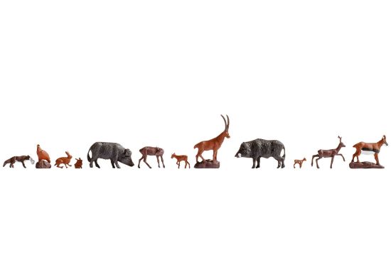 Picture of Forest Animals