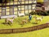 Picture of Garden Fence
