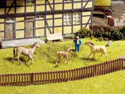 Picture of Garden Fence